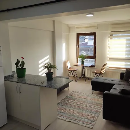 Canpi Homes 아파트 이스탄불